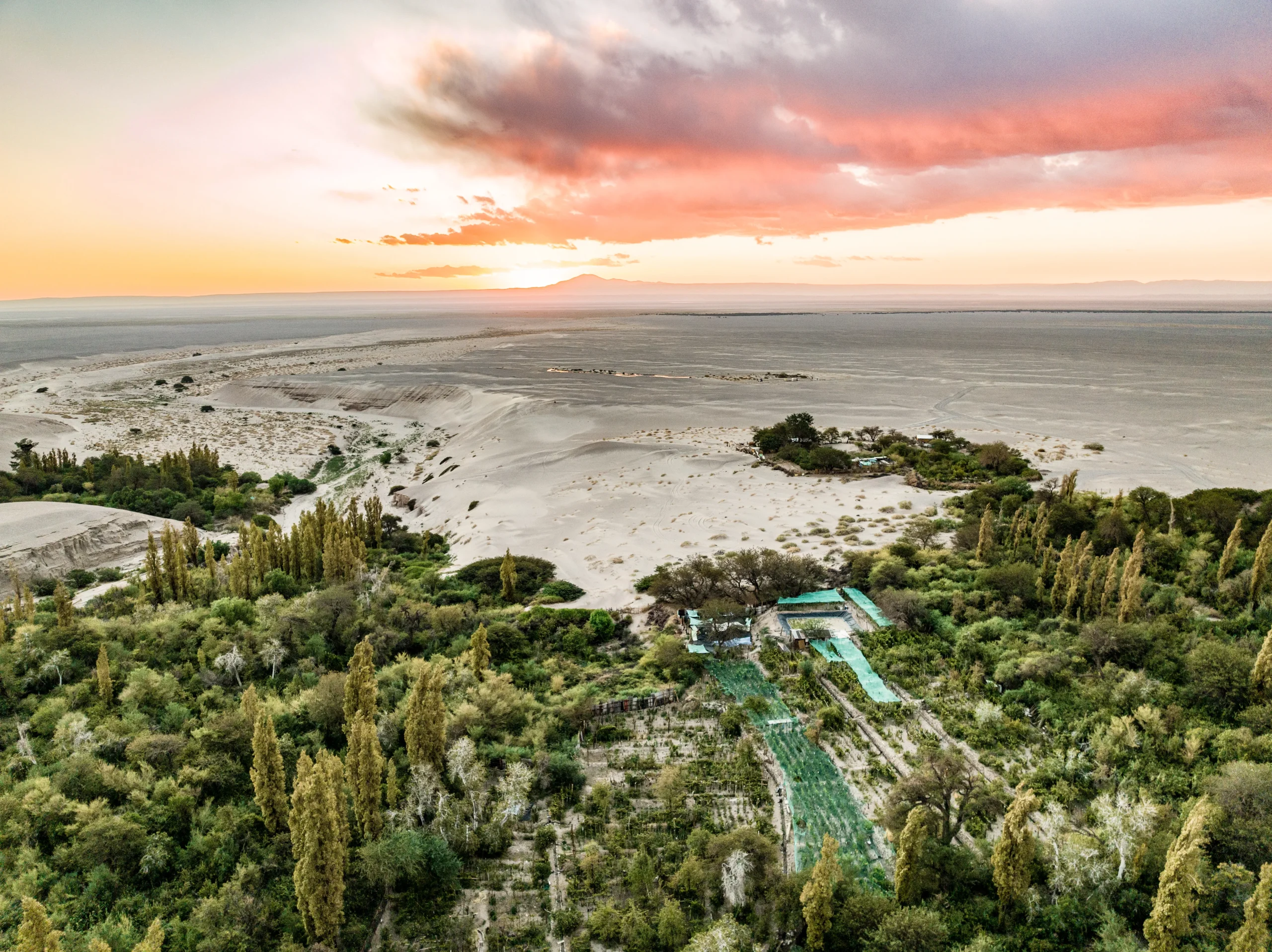 20240330 DJI 0664 scaled